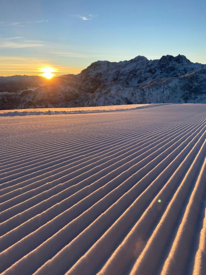 Ferienwohnungen Fichtenheim Mayrhofen Exteriör bild